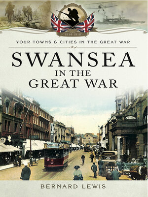 cover image of Swansea in the Great War